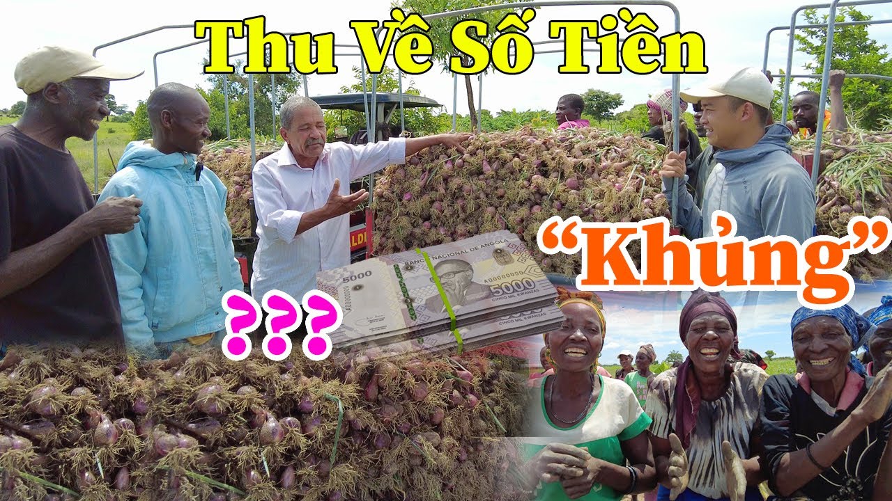 Công Giáp || Bác Chủ Đất Ngạc Nhiên, Khi Trực Tiếp Chứng Kiến Nông Trại 4 Bản Thu Về Số Tiền Khủng !