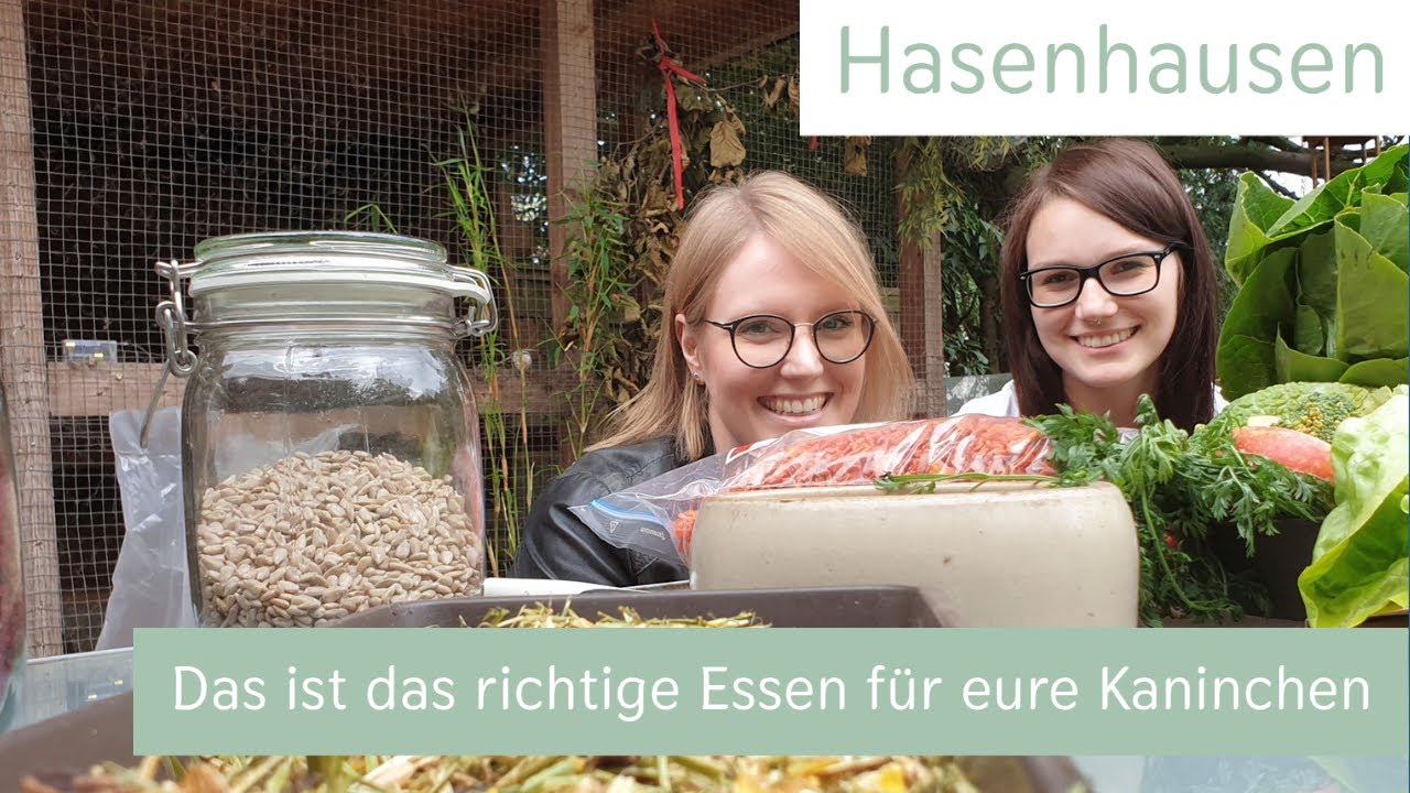 Kaninchen richtig füttern | Hasenhausen | Miau Wuff Moin