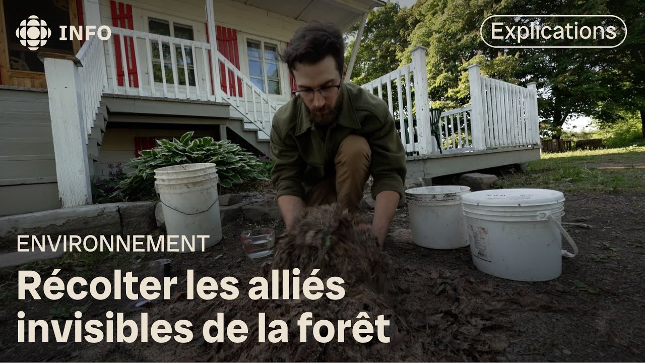 La recette de l’agriculture naturelle coréenne | La semaine verte