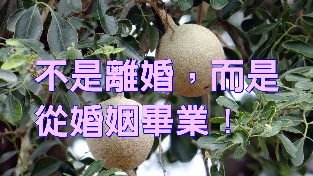 不是離婚，而是從婚姻 畢業！婚姻新形式 「卒婚」：保持關係、 分開生活、追尋理想
