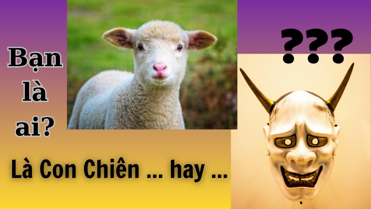 Roma 11: Không Ai Xứng Đáng, Nhưng Tất Cả Được Giữ Gìn | Seri 10 Câu Chuyện Ẩn Dụ Về Ân Sủng