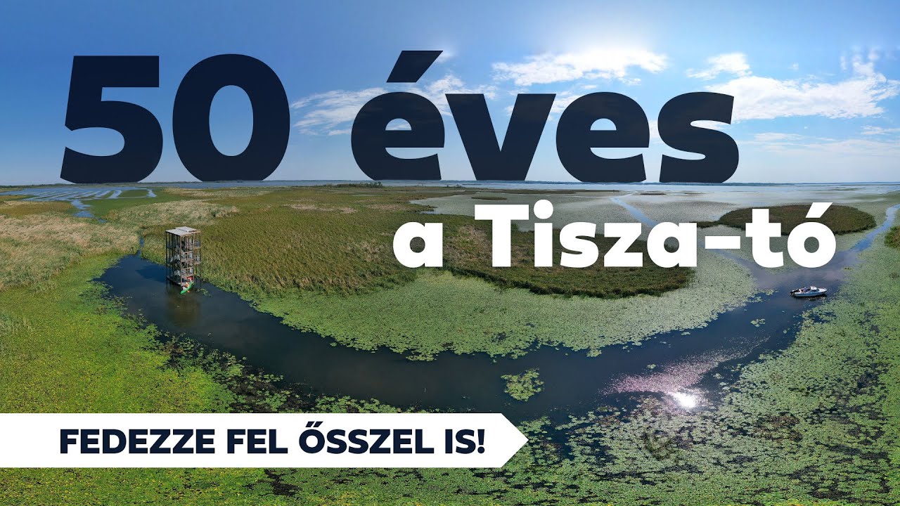 Az 50 éves Tisza-tó