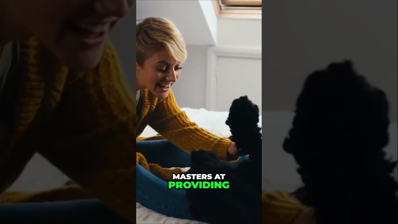 The Healing Power of Dogs: Emotional Support and Unconditional Companionship #dog