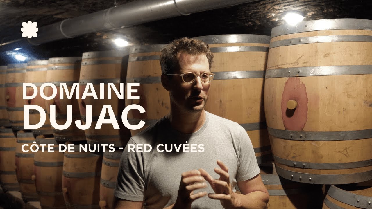 Domaine Dujac | Red Cuvées - Côte de Nuits, Burgundy 🇫🇷
