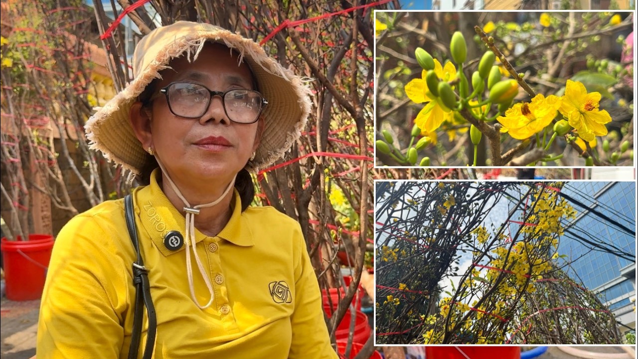 អ្នកស្រី អ៊ុំ សុខលាប លក់ផ្កាអង្គាសីលមិនសូវកាក់កប នារដូវកាលចូលឆ្នាំចិន