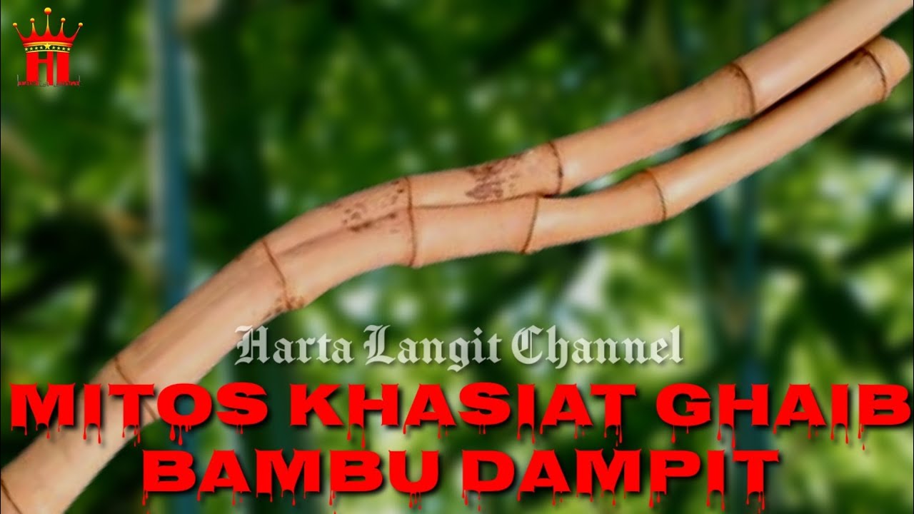 Mitos Khasiat Ghaib Bambu Dampit