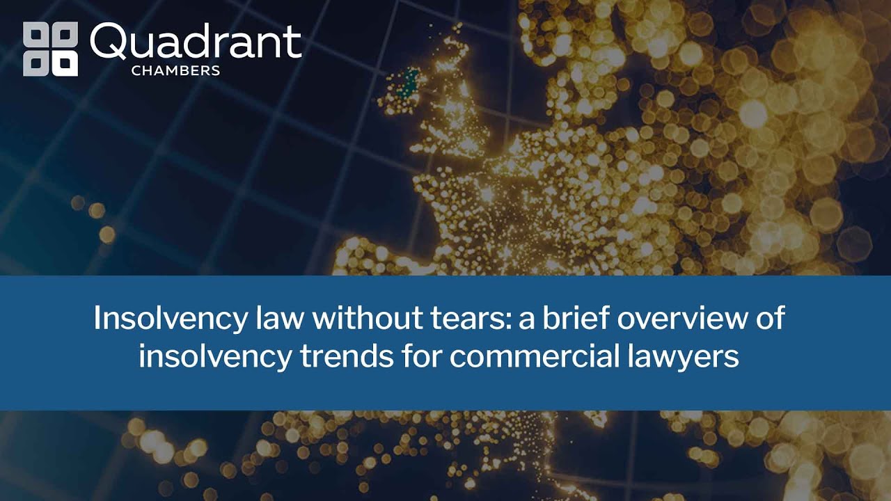 Insolvency law without tears: a brief overview of insolvency trends for commercial lawyers