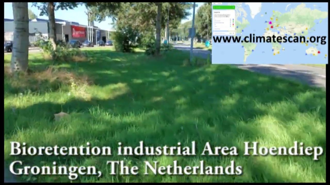 Bioretention industrial Area Hoendiep Groningen The Netherlands