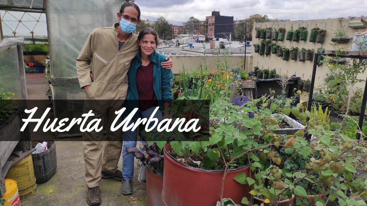 Huerta Urbana Bogota