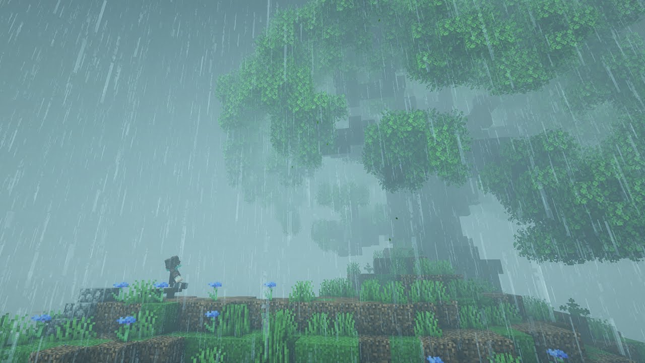 Calming Minecraft Forest