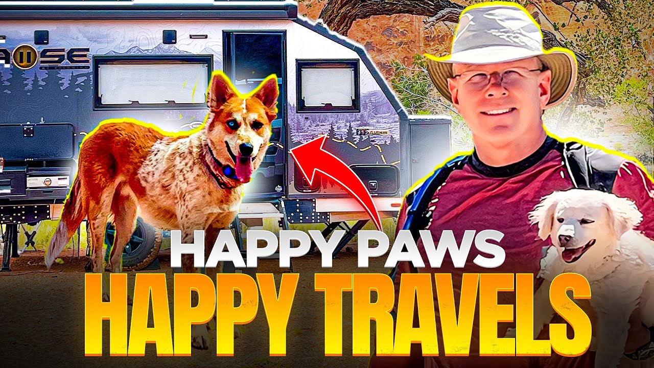 Best Dog Gear For Long RV Off-Grid Camping Trips!