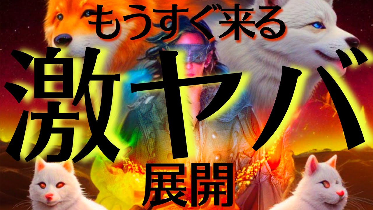 【激ヤバ注意⚠️準備は良いですか？】今後のあなたを本気で占ったら驚きの結果が出てしまいました💥【タロットルノルマンオラクルカードで細密深堀りリーディング💗💫】