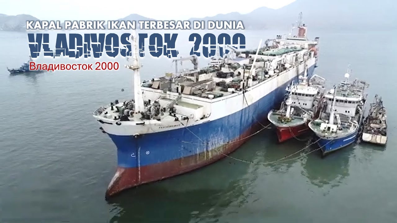 Kapal Pabrik Ikan Terbesar di Dunia - Vladivostok 2000