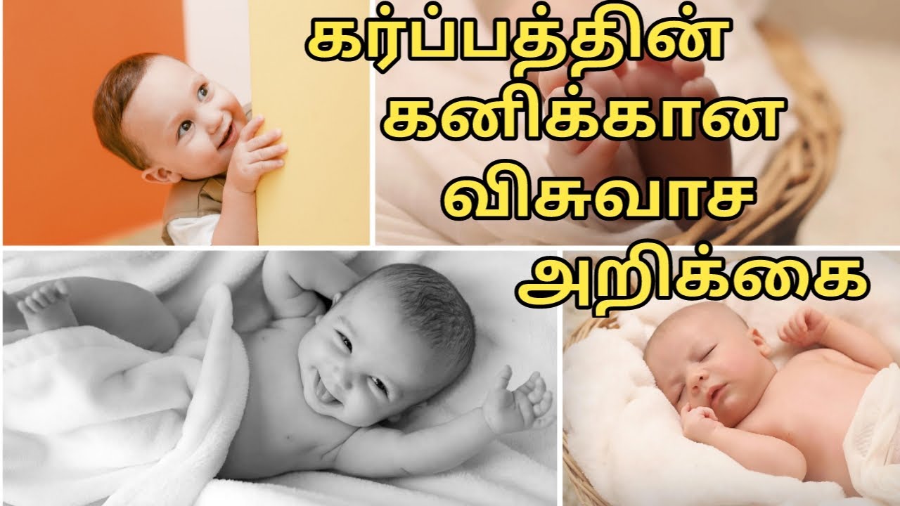 கர்ப்பத்தின் கனிக்கான விசுவாச அறிக்கை  | Prayer for Fruit of Womb | My Savior Lives