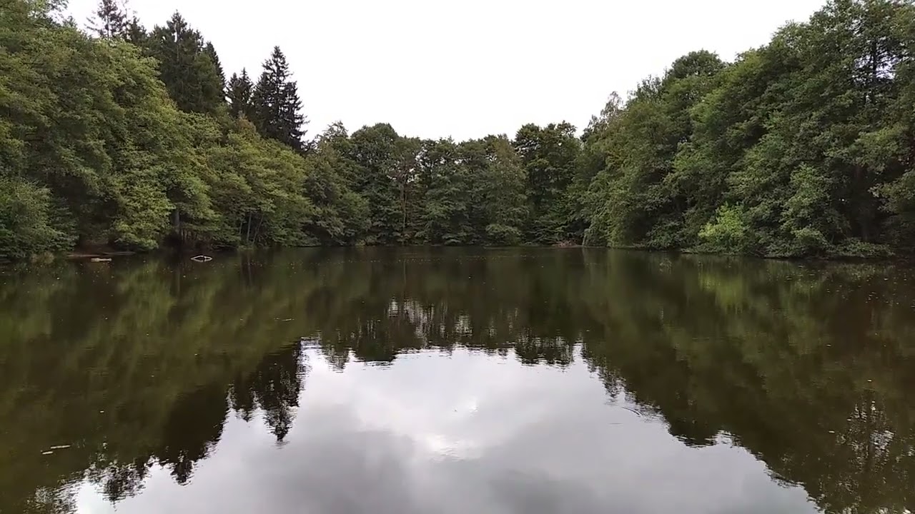 Vrkoslavice Rybn&iacute;k