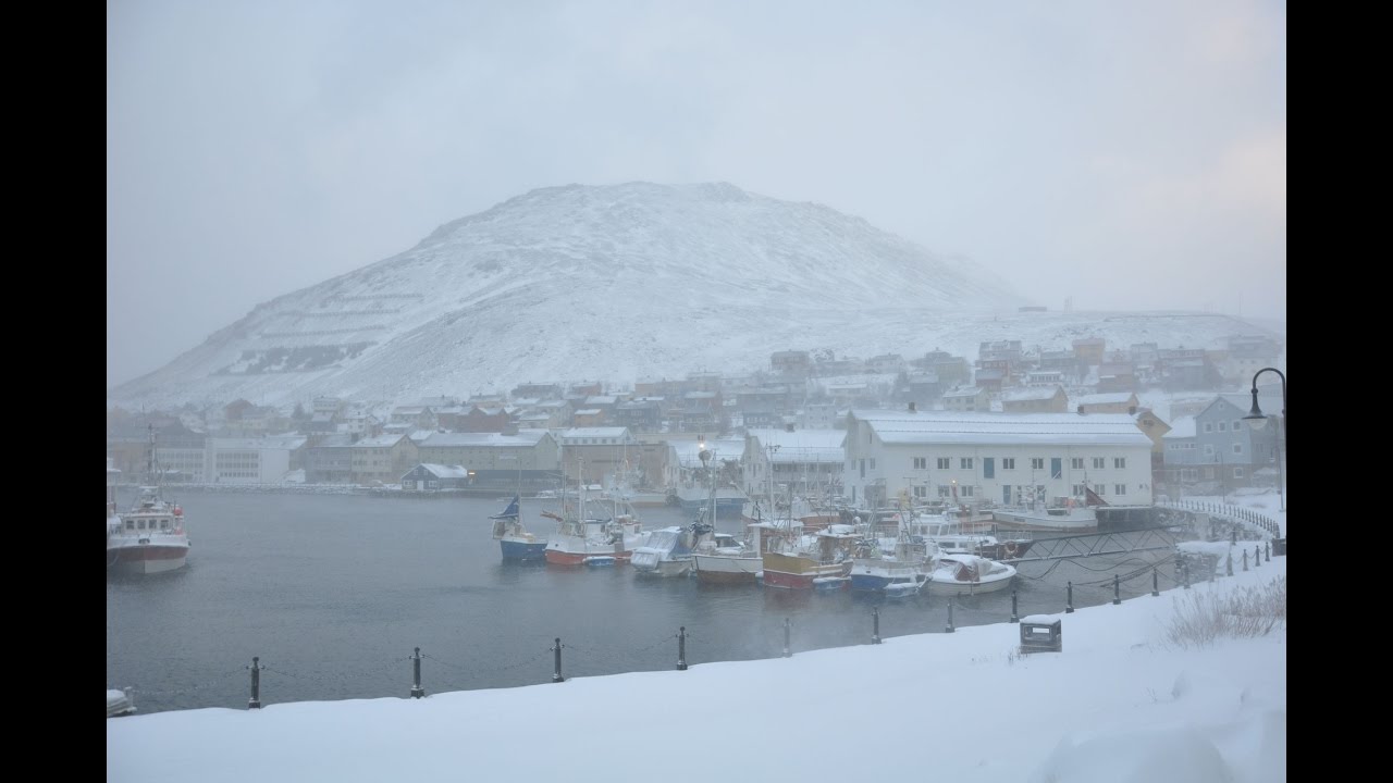 Laika Arctic Experience - Day 22 - Honningsvag, neve e tempesta