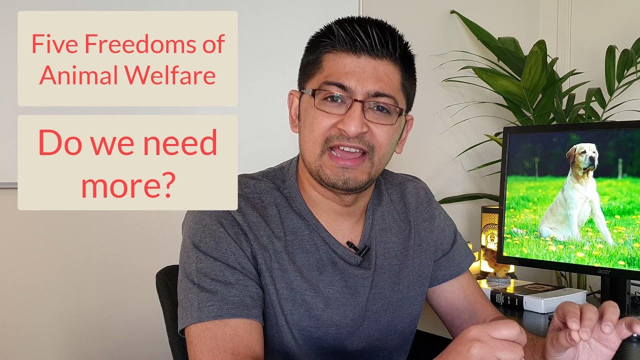 Five freedoms of animal welfare - are they good anymore?