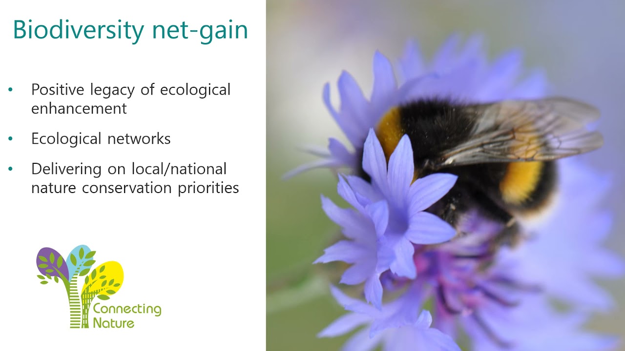 What is a nature based solution