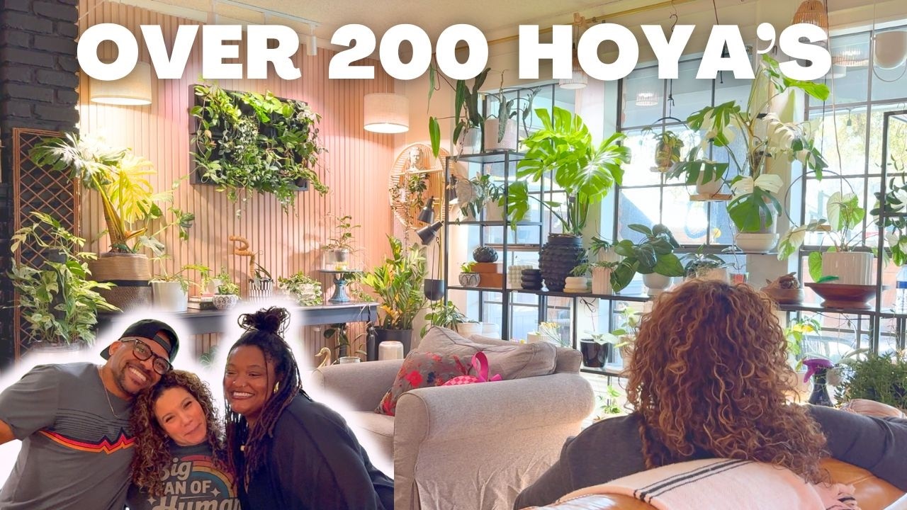 touring a hoya collector’s dream home