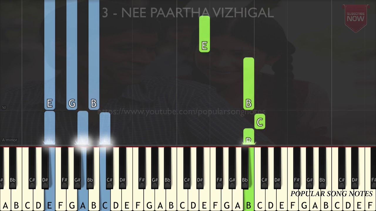 3 - NEE PAARTHA VIZHIGAL (EASY TO PLAY) SLOW VERSION FOR BEGINNERS
