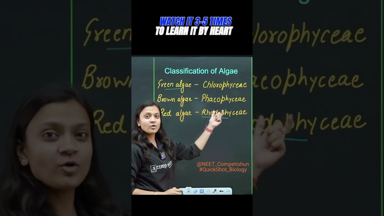 CLASSIFICATION OF ALGAE | QuickShot Biology | #neet_preparation #ncert #biology #neet2024