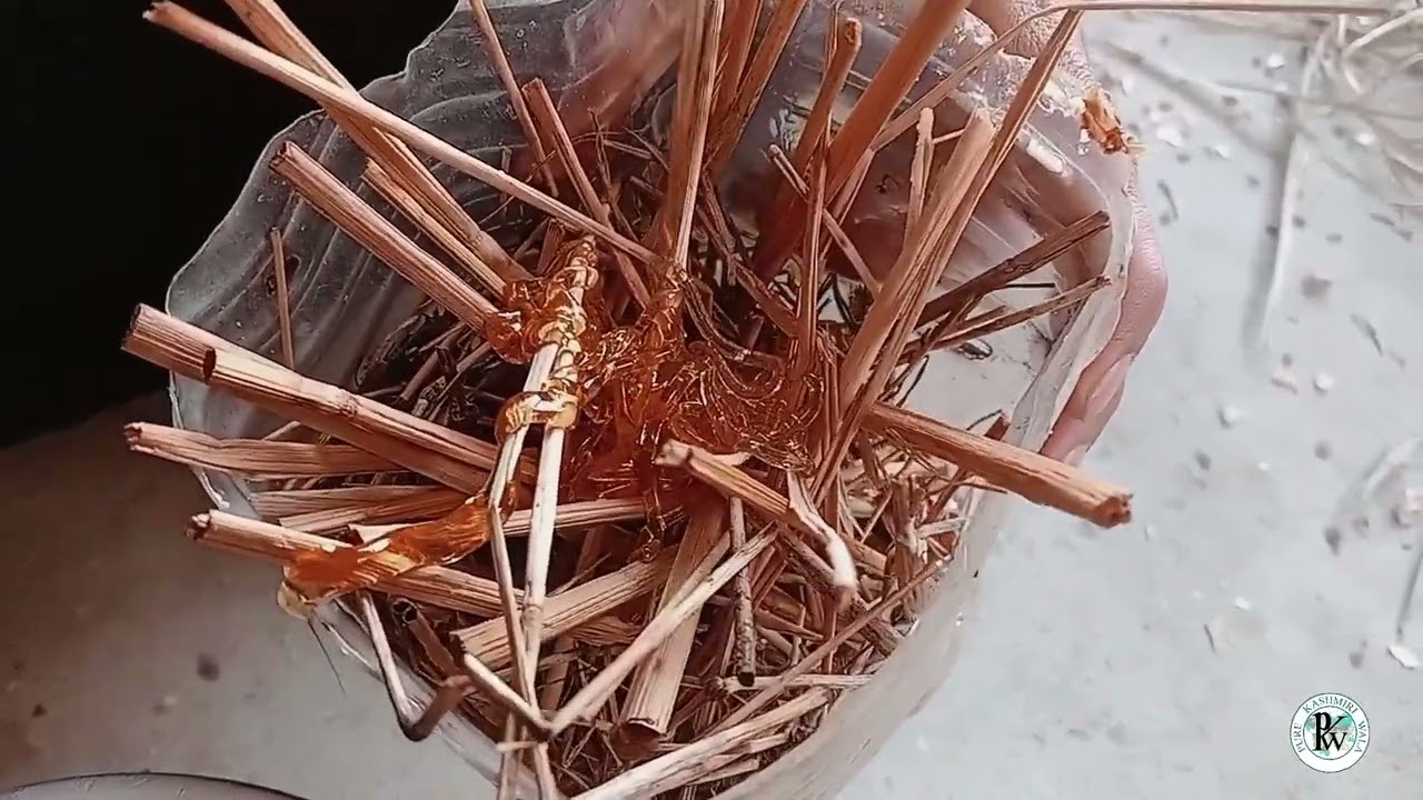 BEST WAY OF WINTER FEEDING||FEEDING WILD BEES  IN SPRING||HOW TO FEED APIS CERANA IN SPRING||PKW||