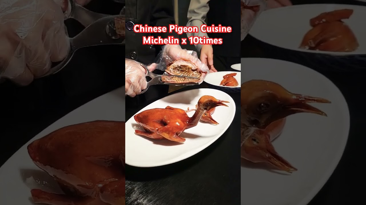 Chinese Pigeon Michelin  #music #producer #edm #michelin #food #birds #china #chinafood #guestmenu