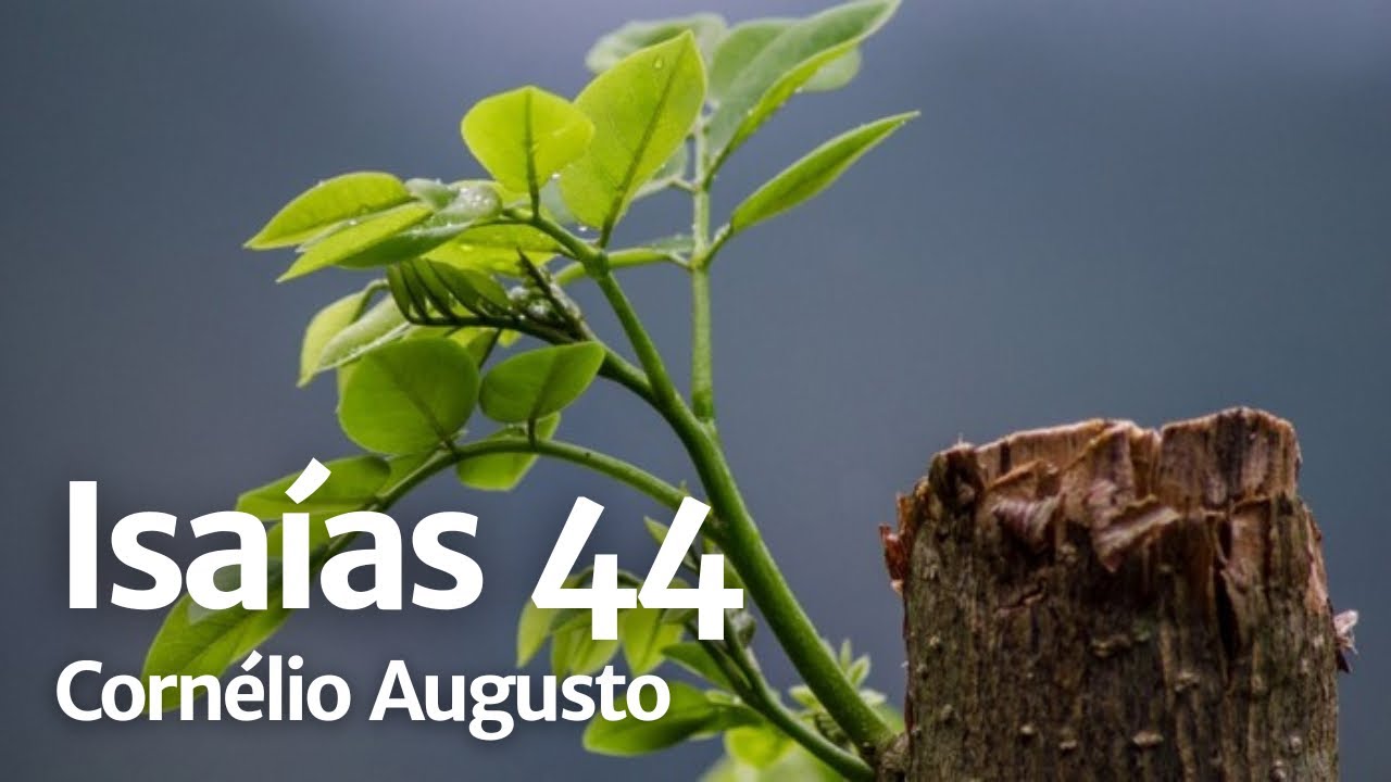 Bíblia Falada | Isaías 44
