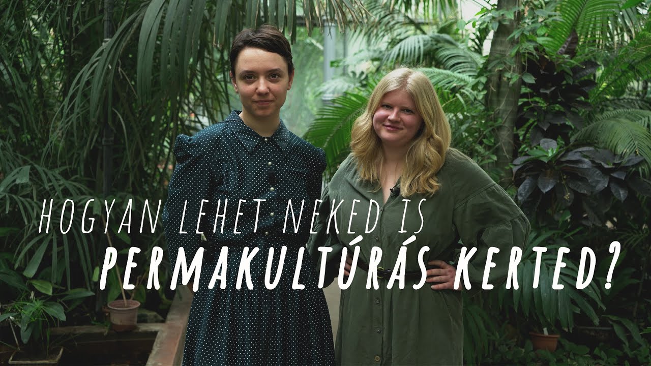 hogyan lehet neked is PERMAKULTÚRÁS KERTED? - beszélgetés Blunck Rékával (Ökokert permakultúra)