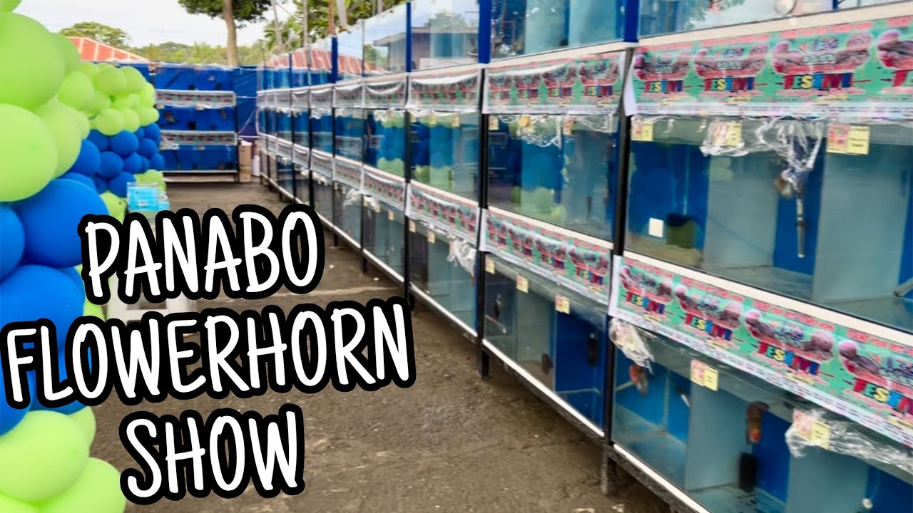PANABO FLOWERHORN SHOW 2022