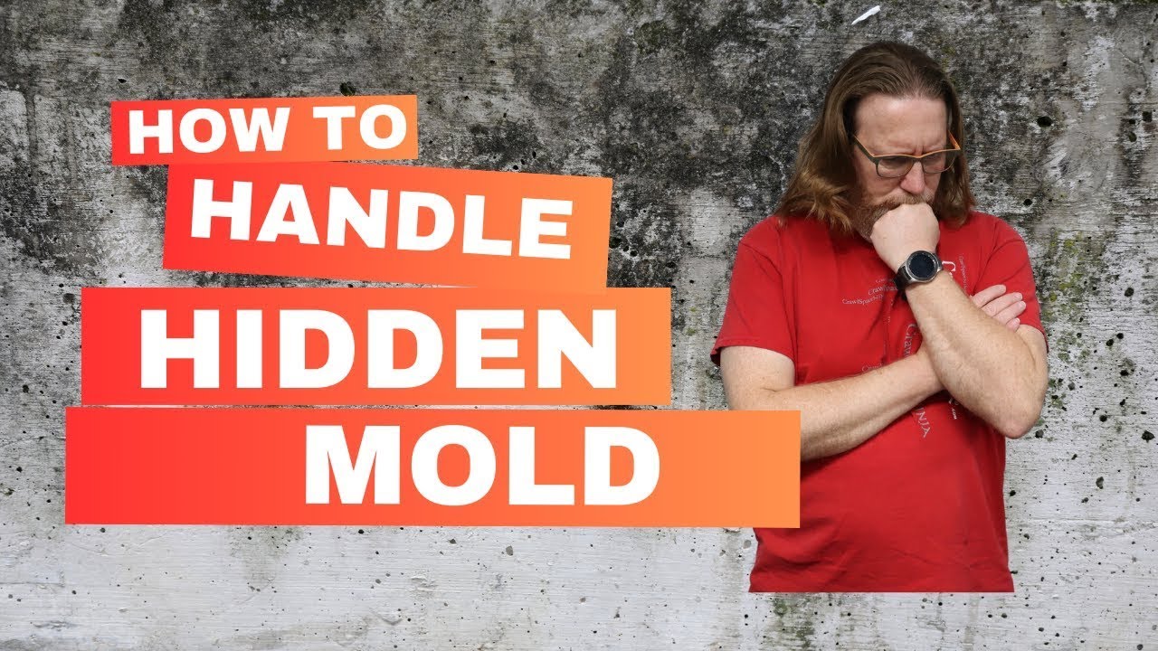 What To Do About Mold In Your Crawl Space Right Now
