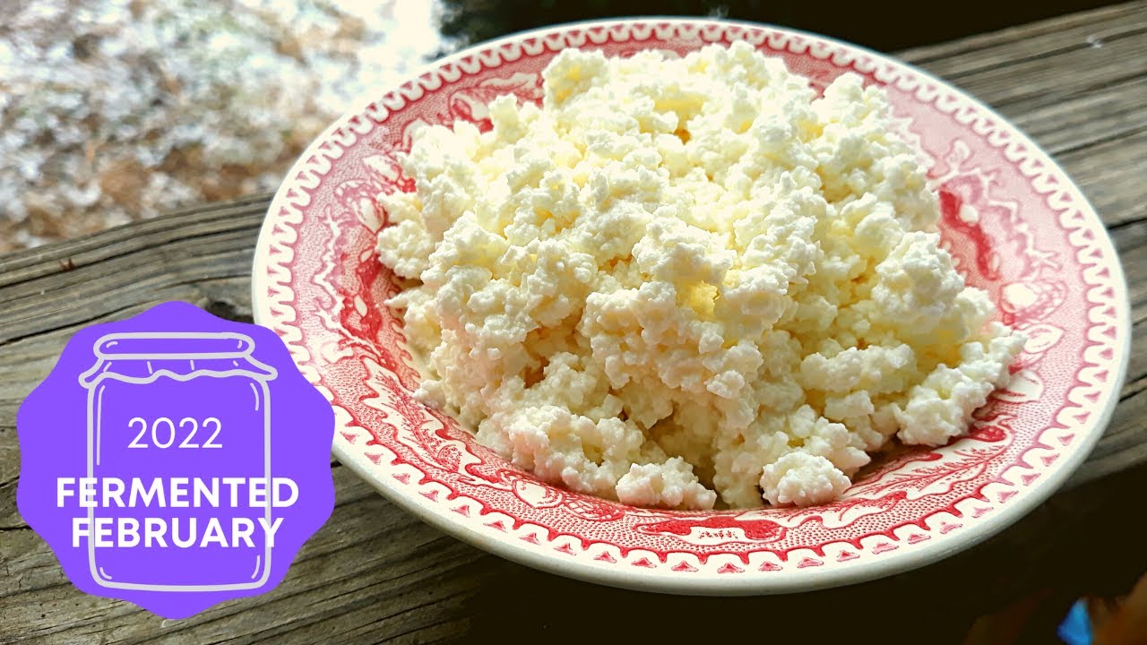 EASIEST Homemade One-Ingredient Cottage Cheese! (Clabbered Milk)  @FermentedHomestead