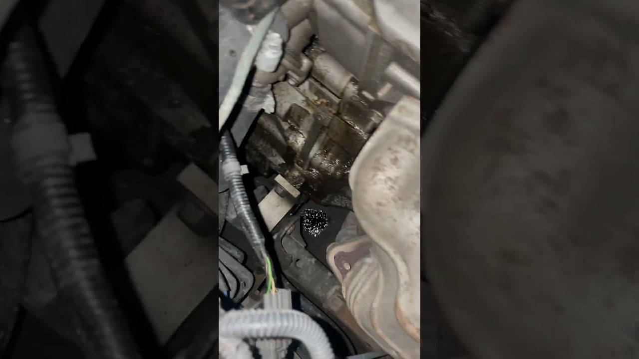 2003 Honda Civic EX 1.7L Sedan major oil leak. *FIXED* **Replace VTEC Solenoid!**