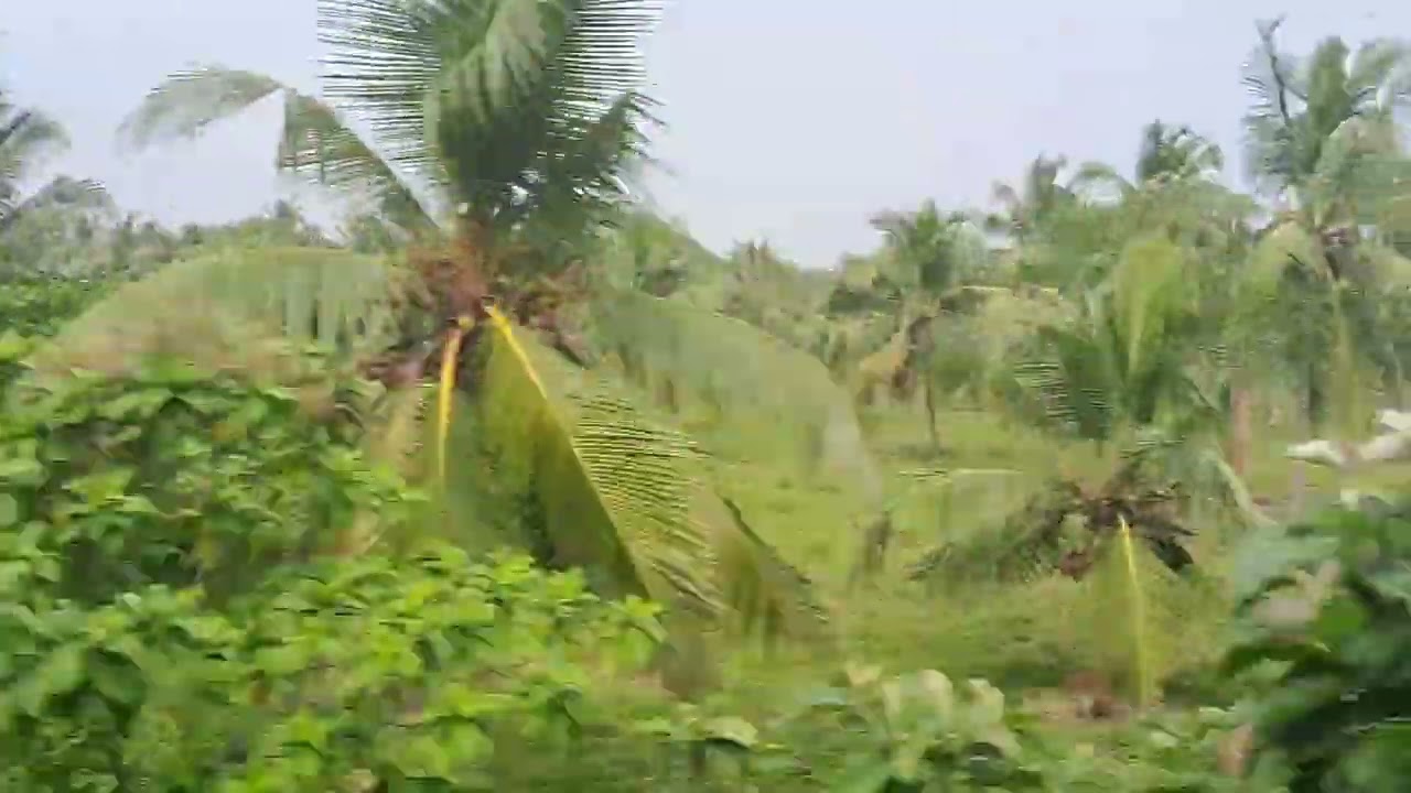 Guruvayur - Thrissur Train Journey