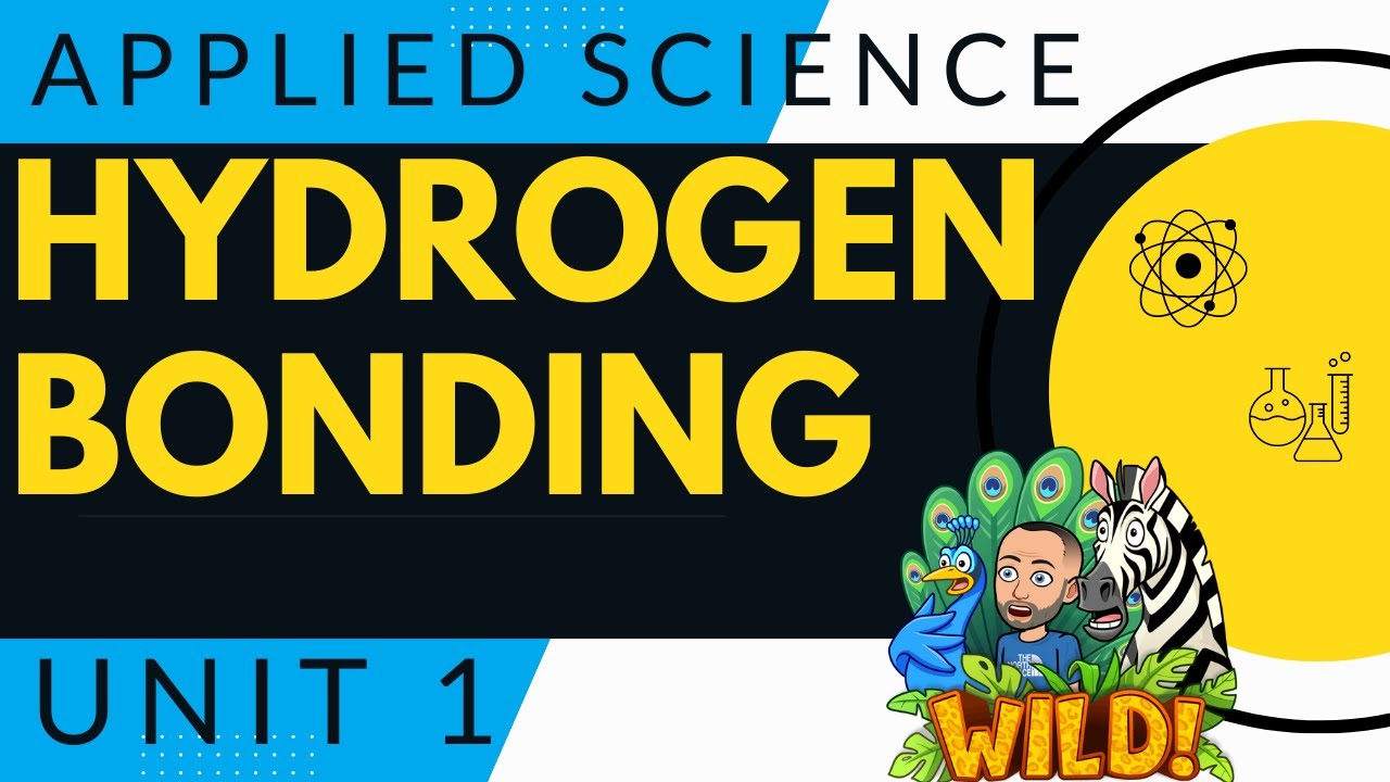 BTEC Applied Science Unit 1 - Hydrogen Bonding