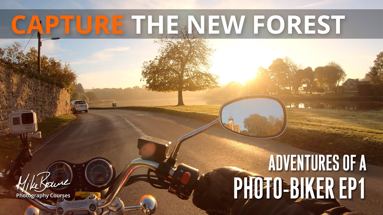 Photographing A Sunny Morning In The New Forest [Mike Browne Photo Biker 1]