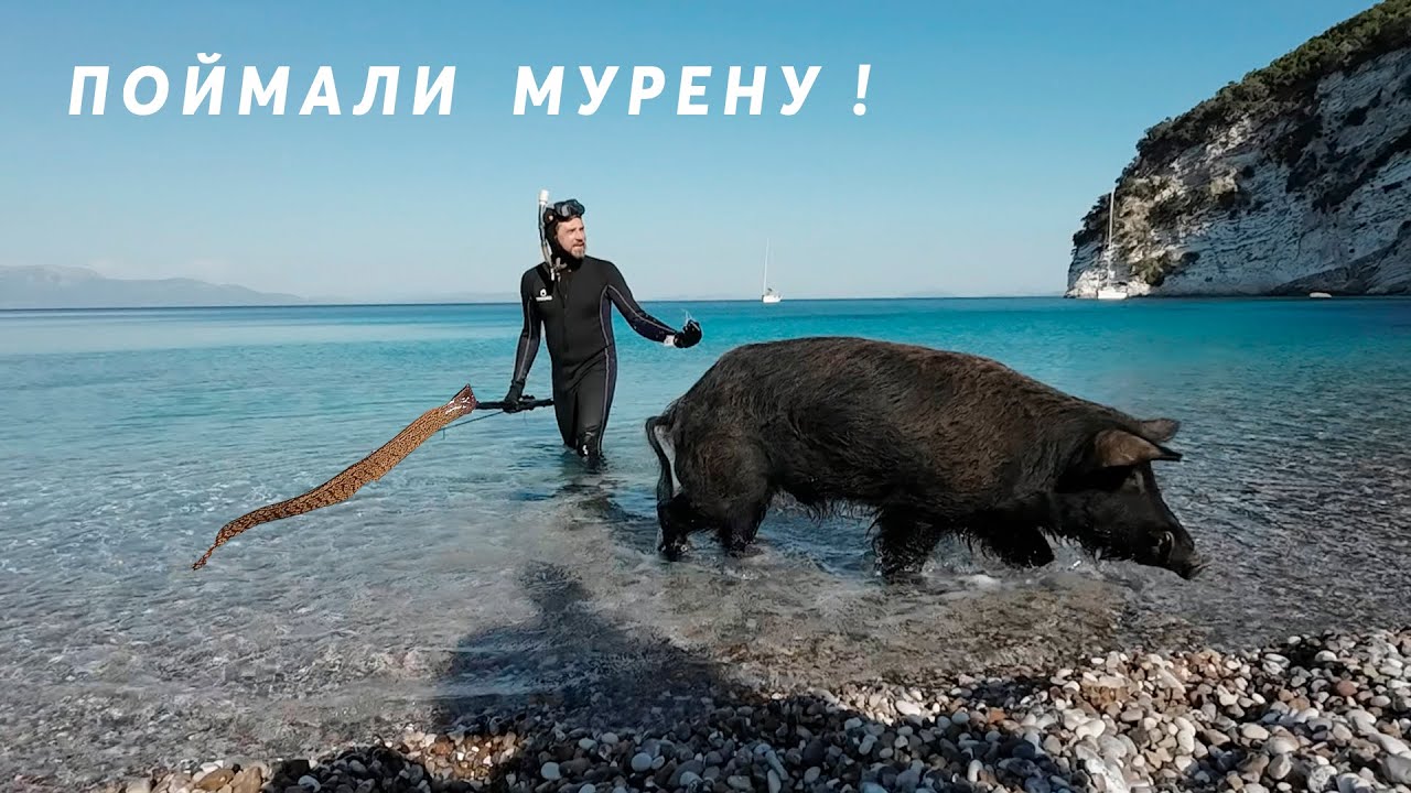 Поймали мурену на острове кабанов| дневник экспедиции по Ионическим островам ep1