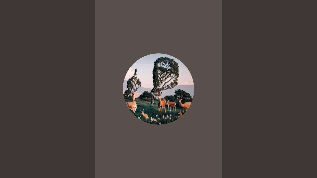 Wissam قران_كريم  est en direct !