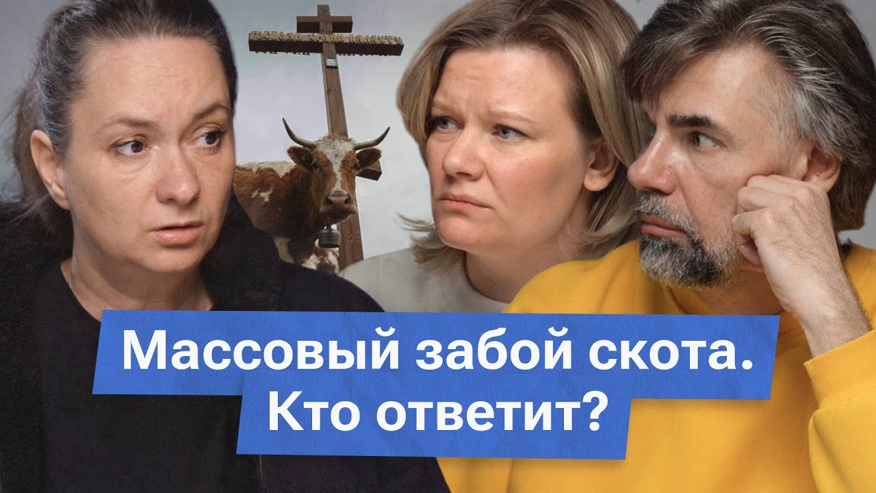 Массовый забой скота в Новосибирской области.  Об этом молчат федеральные каналы