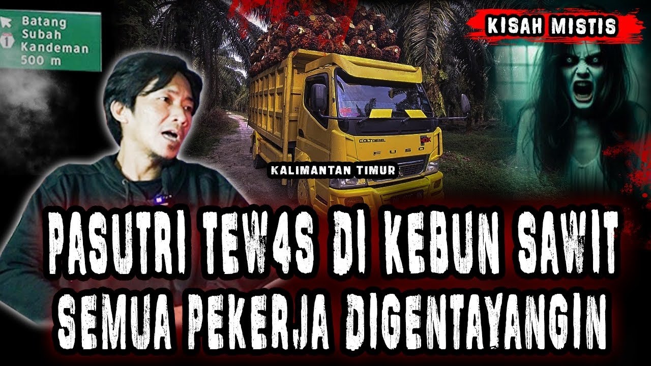 HOROR BANGET!!! PEKERJA KELAPA SAWIT MENINGGAL DIHUTAN,SEMUA PEKERJA DI GENTAYANGIN SETIAP MALEM!!