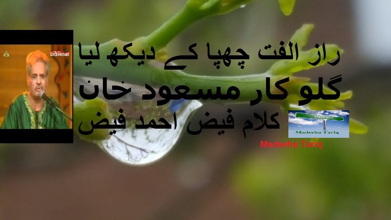 Raaz-e-Ulfat || Ghazal sung by Masood Khan || raz e ulfat chupa k dekh lia #sheelomasood #masod khan