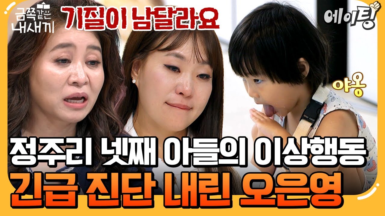 [#에이팅] 정주리 넷째 아들, 형 폭행에 기이한 행동 반복까지?! 결국 긴급 진단 내린 오은영 | #금쪽같은내새끼 252회