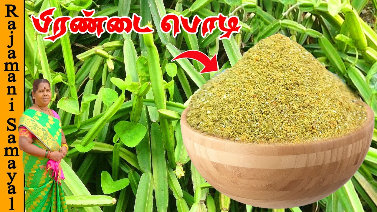 எலும்பிற்க்கு வலிமை சேர்க்கும் பிரண்டை பொடி | Pirandai Podi Recipe | Adamant Creeper Idli Podi
