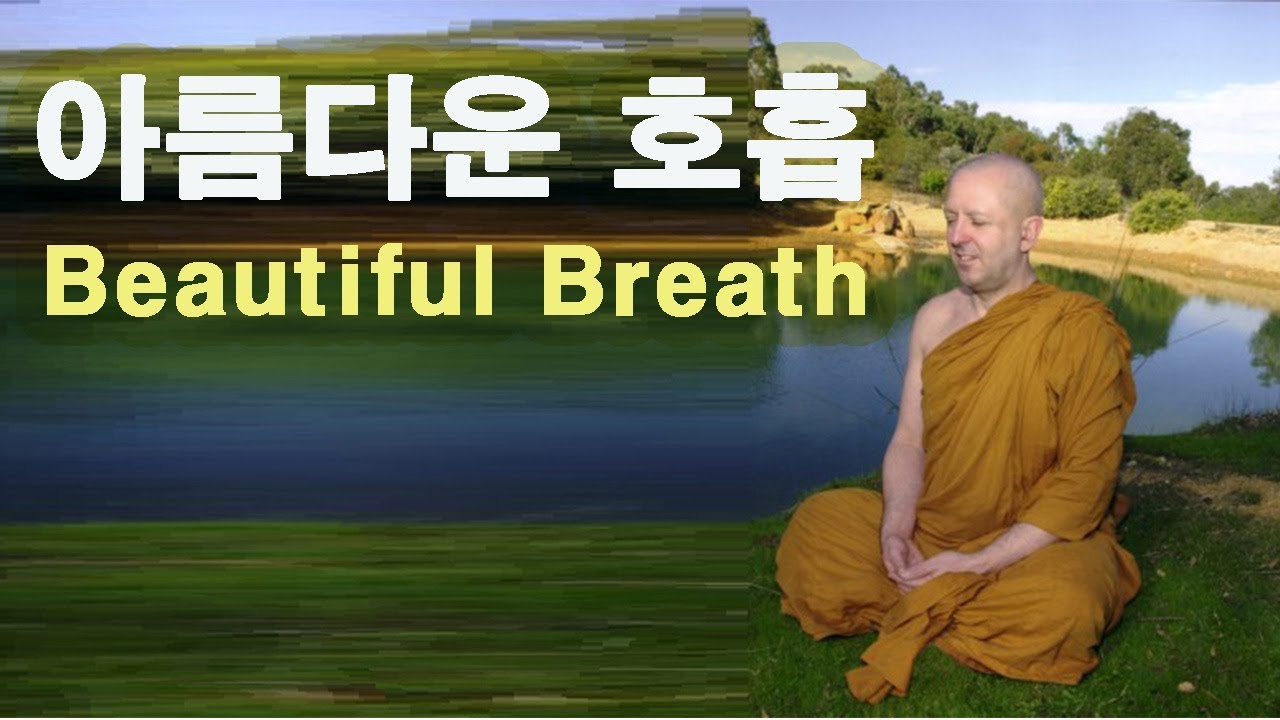아름다운 호흡(Beautiful Breath)/호흡명상, 선정으로 가는 행복한 명상의 도약판 / 아잔브람의 놓아버리기 명상 5강/  혜안스님