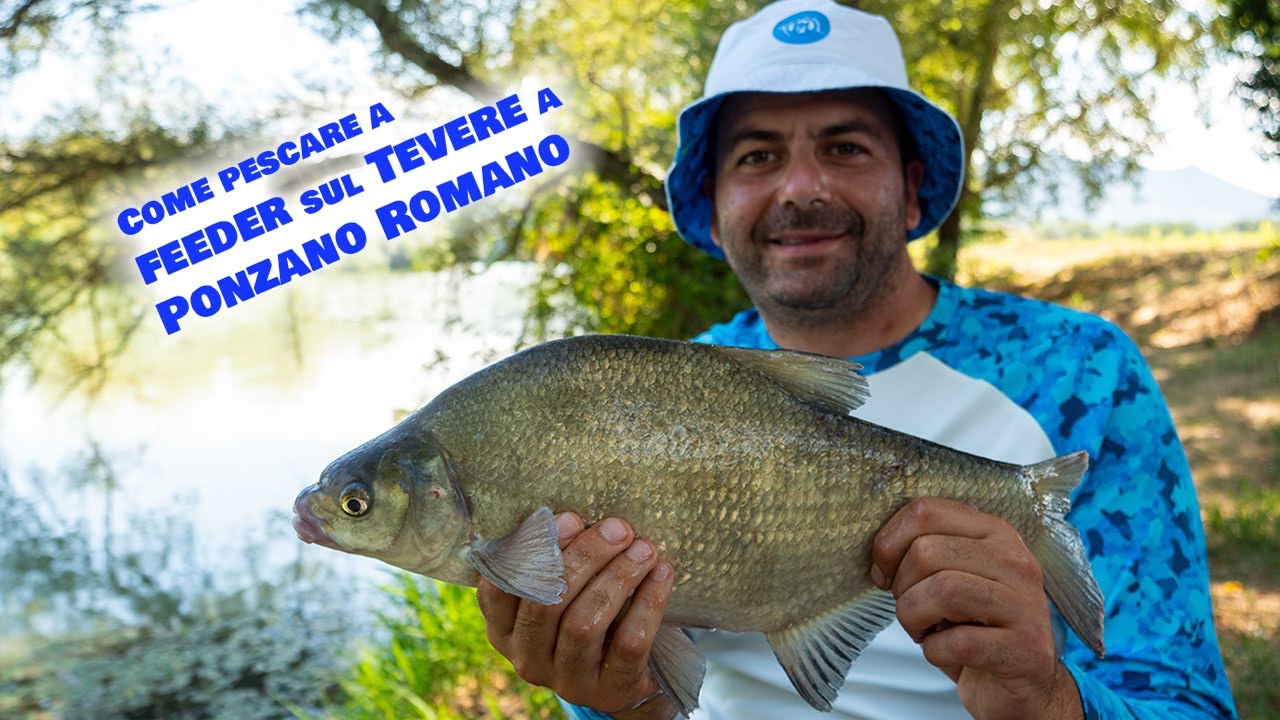 Come pescare a feeder sul Tevere a Ponzano Romano