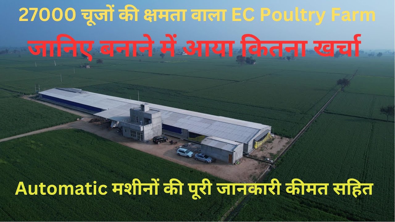 EC Poultry Farm Making Cost ! Automatic machine kitne ki aati h puri detail k sath video !