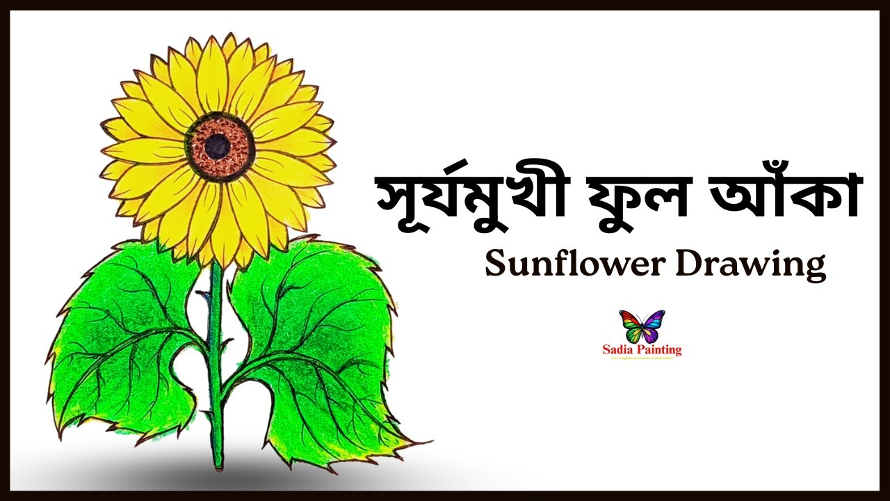 সূর্যমুখী ফুল আঁকা | how to draw a sunflower | how to draw for beginners | drawing tutorial