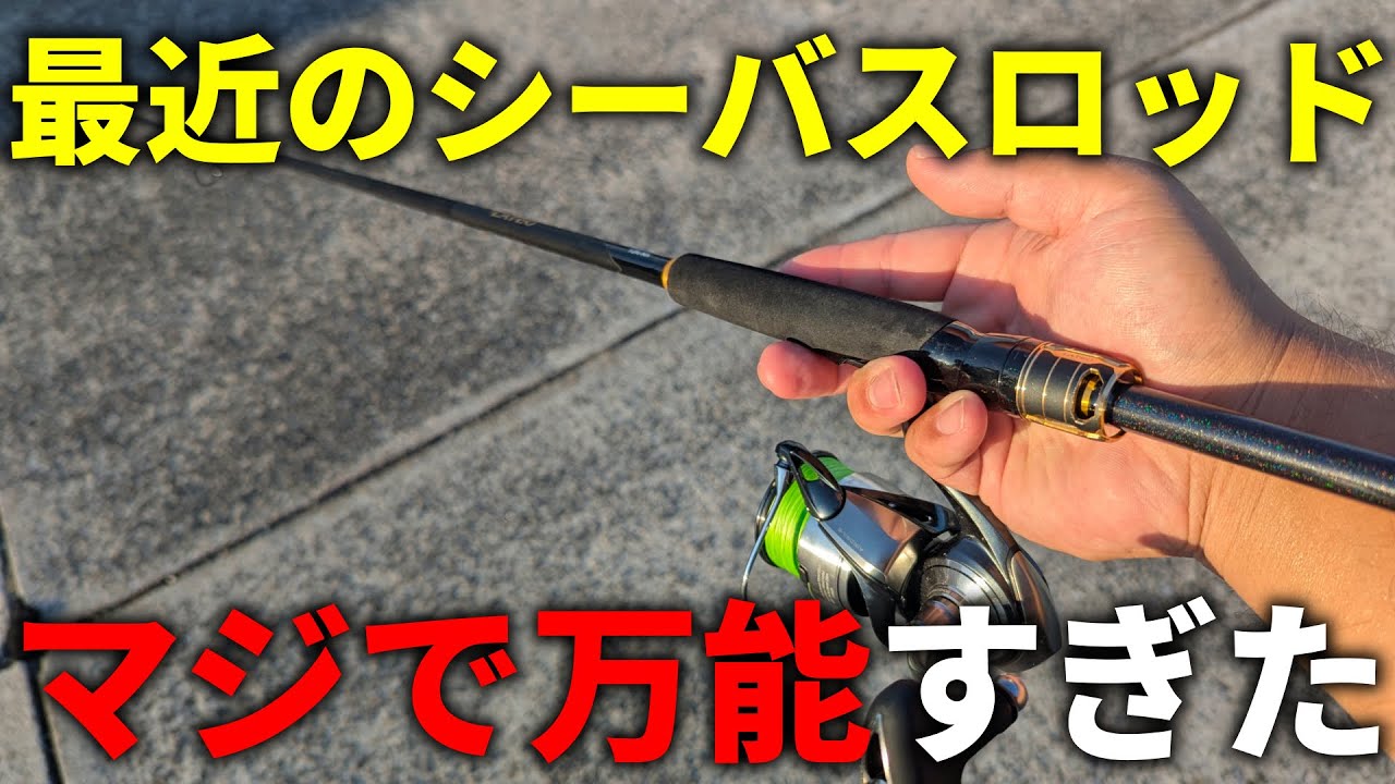 これはコスパ良いわ。ダイワの中級シーバスロッドで堤防からジグを投げてみたら、使い勝手良すぎました。