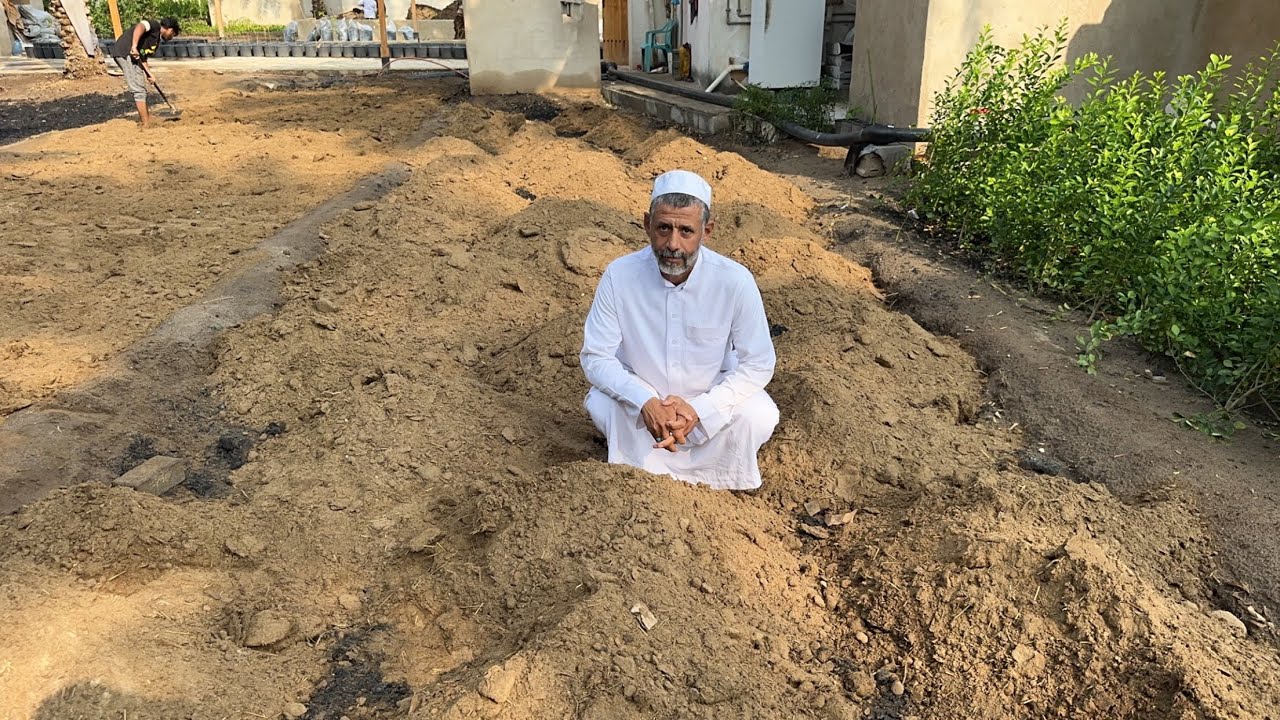 تهيئة الارض ب الرماد وسماد الابقار لزراعة شتلات 🌱 اللومي الحساوي الدرس الثاني