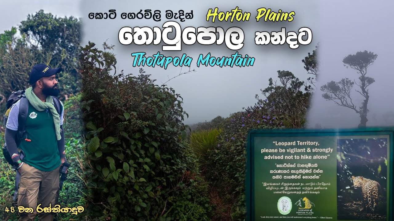 කොටි ගෙරවිලි මැදින් තොටුපොල කන්දට | Thotupola Mountain in Horton Plains | 3rd Highest Peak Sri Lanka